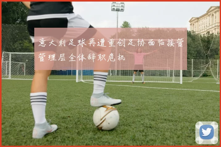 意大利足球再遭重创足协面临接管管理层全体辞职危机